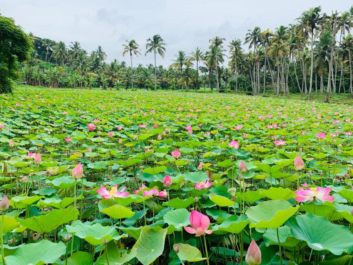 Maadathil Cottages Varkala Exterior photo